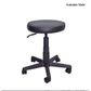 Hamilton Stool Range - 110kg
