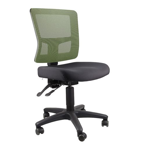 Toledo Mesh Back Chair 2L 110kg Green Mesh, Blk Seat