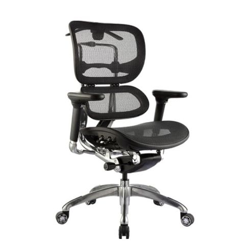 Ergo 1L Mesh HB Chair Arms Synch 120 kg