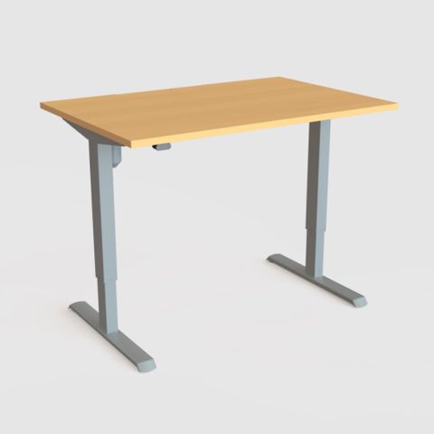 DM33 1200x700mm Electric Desk Fxd Rail Sil L2