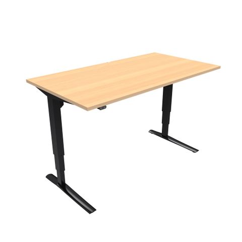 DM33 1350x800mm Electric Desk Adj Rail Blk L2