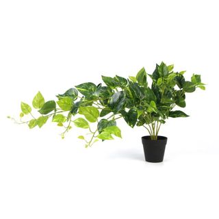 5 Artificial Trailing Plants and bark