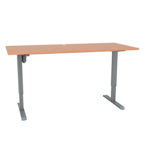 DM33 1700x800mm Electric Desk Fxd Rail Sil L2