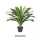 Artificial Dracena Plants x 3 suits Planter Divider and bark