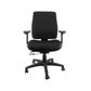 Ergo Synchro HB Standard Seat with Arms SS Black 160kg