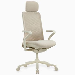 Fuse Synchron Mesh Back Chair w Headrest/Arms 135kg Colour