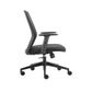 Santa Mesh BackTask Chair Adj Arms 120kg Black