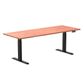 Desky Sit-Stand Straight Desk Range - 140kg