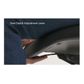 Secondhand Humanscale Liberty Task Chair 135kg
