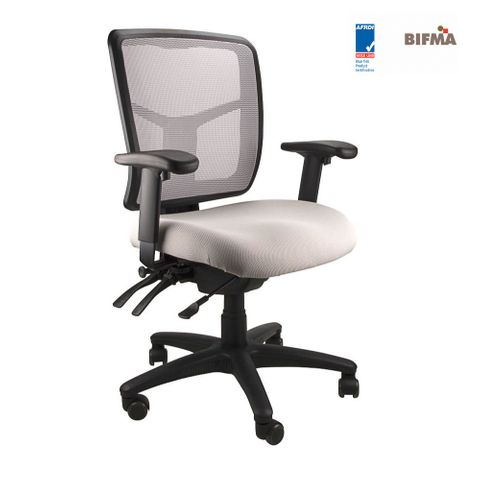 Mesh Mirae MB Adj Arms 4L SS 160kg Silver