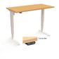 DM37 Electric Height adjustable Desk Range - 100kg