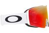Oakley 2025 Fall Line L Goggles