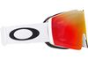 Oakley 2024 Fall Line L Goggles