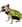 Jet Pilot 2023 Dog PFD Buoyancy Vest