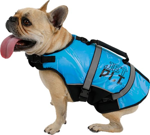 Jet Pilot 2023 Dog PFD Buoyancy Vest