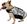 Jet Pilot 2023 Dog PFD Buoyancy Vest