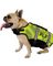 Jet Pilot 2023 DOG Buoyancy Vest