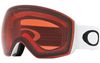 Oakley 2022 Flight Deck L Goggles