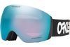 Oakley 2024 Flight Deck L Goggles