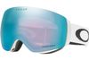 Oakley 2024 Flight Deck M Goggles