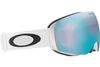 Oakley 2025 Flight Deck M Goggles