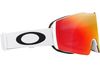 Oakley 2025 Fall Line M Goggles