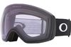 Oakley 2024 Flight Deck L Goggles