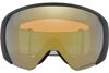 Oakley 2025 Flight Path L Goggles