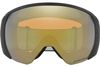 Oakley 2024 Flight Path L Goggles