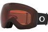 Oakley 2024 Flight Deck L Goggles