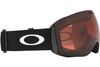 Oakley 2025 Flight Deck L Goggles