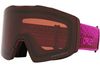 Oakley 2023 Fall Line L Goggles