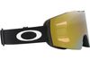 Oakley 2024 Fall Line M Goggles