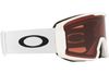 Oakley 2024 Line Miner L Goggles