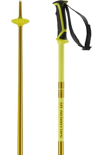 Salomon 2024 Arctic Snow Ski Poles