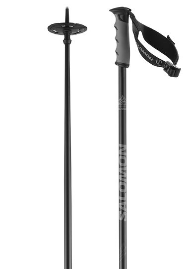 Salomon 2024 Hacker Snow Ski Poles