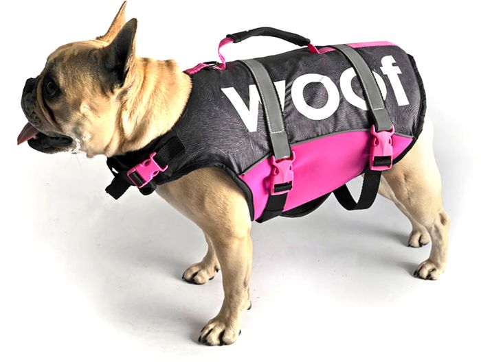 Follow 2025 Dog Buoyancy VEST