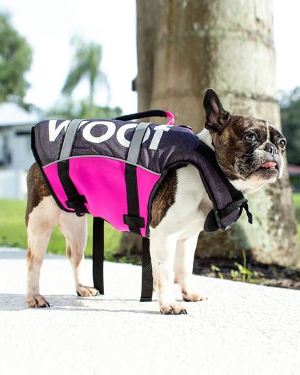 Follow 2025 Dog Buoyancy VEST