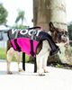 Follow 2025 Dog Buoyancy VEST