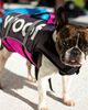 Follow 2025 Dog Buoyancy VEST