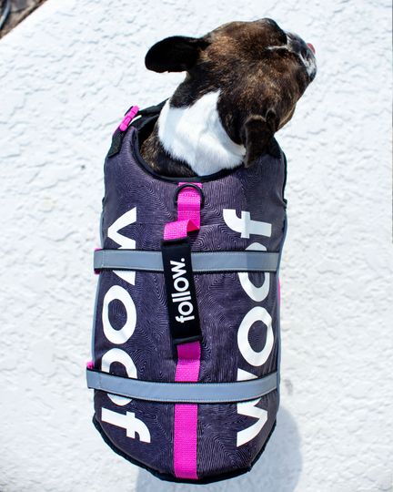 Follow 2025 Dog Buoyancy VEST