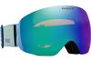 Oakley 2024 Flight Deck L Goggles