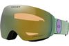 Oakley 2024 Flight Deck M Goggles