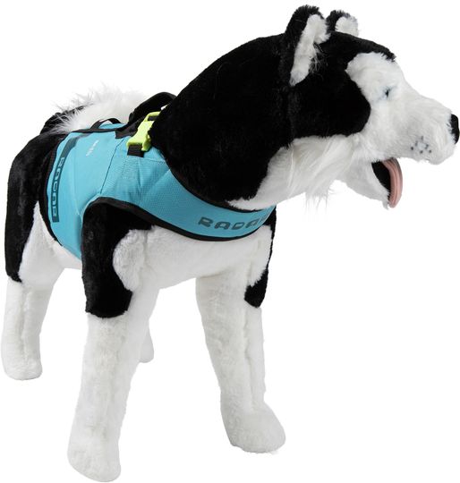 Radar 2024 Dog Vest