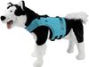 Radar 2025 Dog Buoyancy Vest