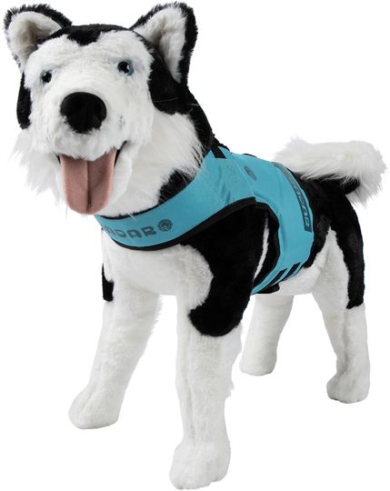 Radar 2025 Dog Vest