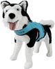 Radar 2025 Dog Buoyancy Vest