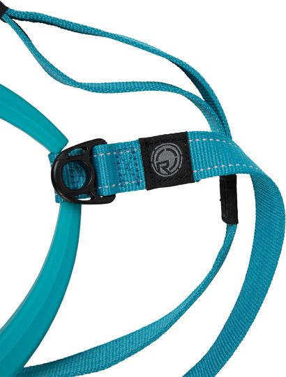 Radar 2024 Dog Leash