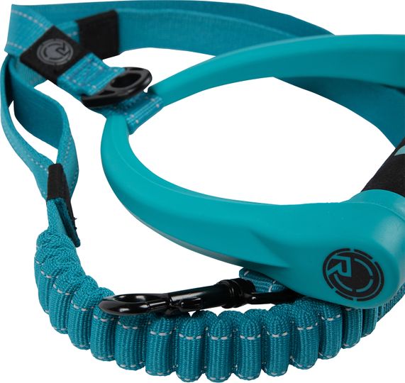 Radar 2024 Dog Leash