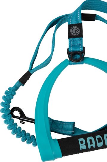 Radar 2024 Dog Leash